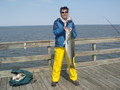 striper2