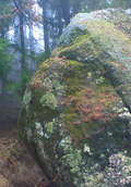 ofukuroishi