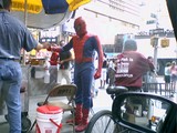spider1