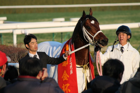 京都金杯