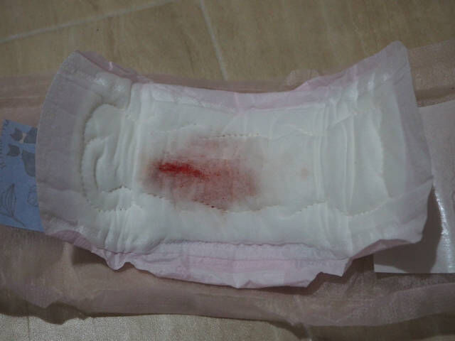 使用済みナプキン　エロ 生理お汚しぱんちゅ : レイはパイパン女児ショーツ