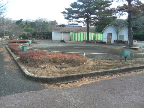DSC02018