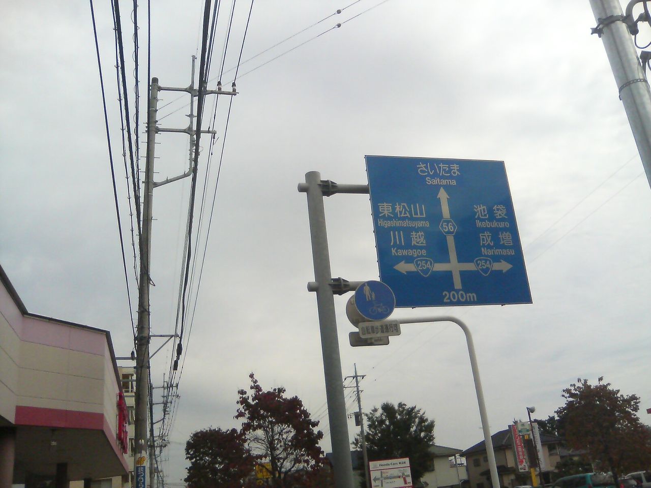 ファッションセンターしまむら大井 埼玉県ふじみ野市 メリーゴーランド メリーゴーラウンド 研究家ルートヴィヒ ヴァン 1998 メリーゴーランドの旅 Sober Curious ソバーキュリアス