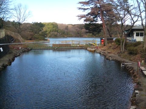 DSC02024