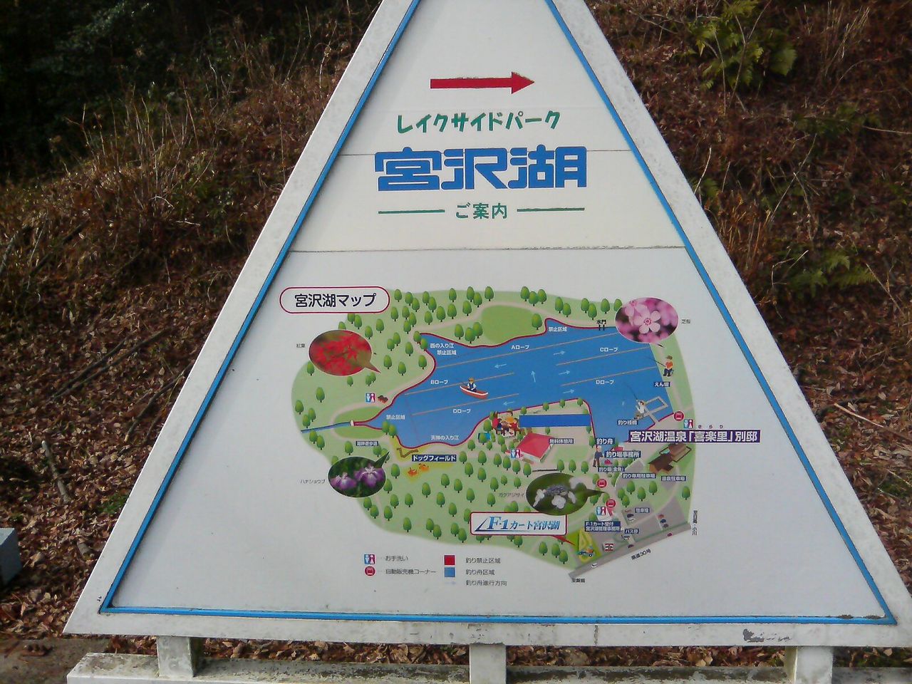 レイクサイドパーク宮沢湖 埼玉県飯能市 メリーゴーランド メリーゴーラウンド 研究家ルートヴィヒ ヴァン 1998 メリーゴーランドの旅 Sober Curious ソバーキュリアス レイクサイドパーク宮沢湖 埼玉県飯能市 メリーゴーランド メリーゴーラウンド 研究家ルートヴィヒ ヴァン 1998 メリーゴーランドの旅 Sober Curious ソバーキュリアス