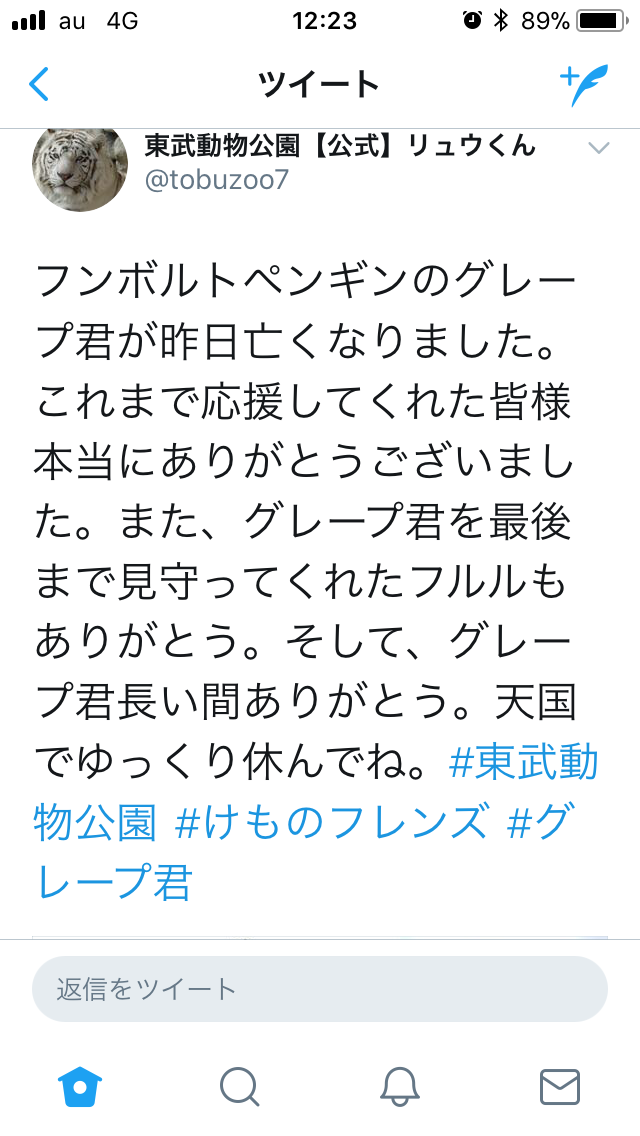 グレープ君の生涯まとめ その後 残してくれたもの ぱーぷるのブログ Everything