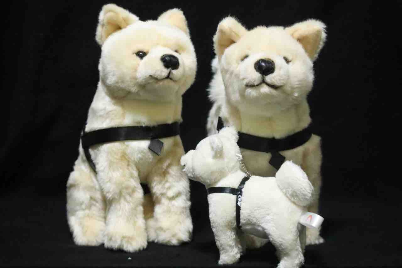 レア　国立科学博物館　秋田犬　ハチ　ぬいぐるみ　おすわり　ハチ号 国立科学博物館 ミュージアムショップ / 科博オリジナル