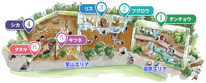 ふるさとの動物たち 東武の日本産動物舎 04 ホンドテン ぱーぷるのブログ Everything ふるさとの動物たち 東武の日本産動物舎 04 ホンドテン ぱーぷるのブログ Everything