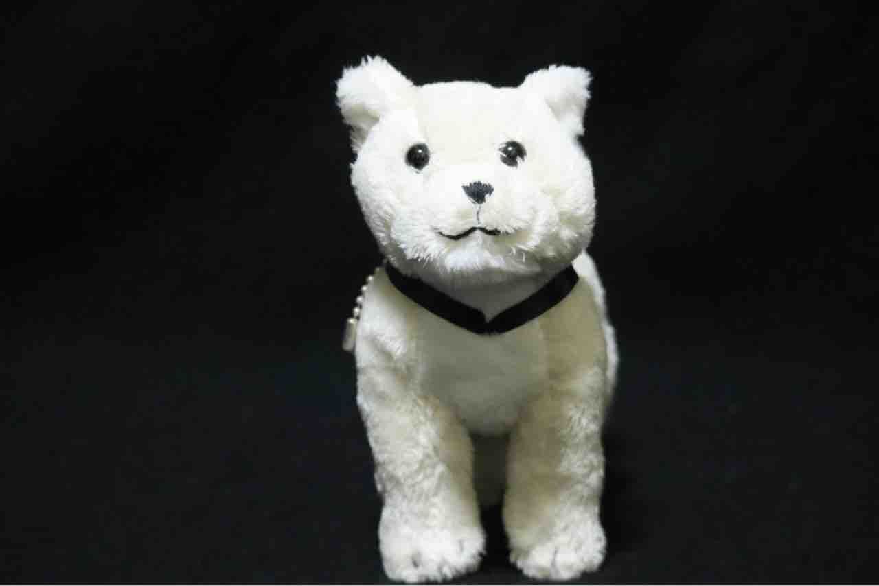 レビュー】国立科学博物館オリジナル 秋田犬ハチ : 百獣夜行見聞録