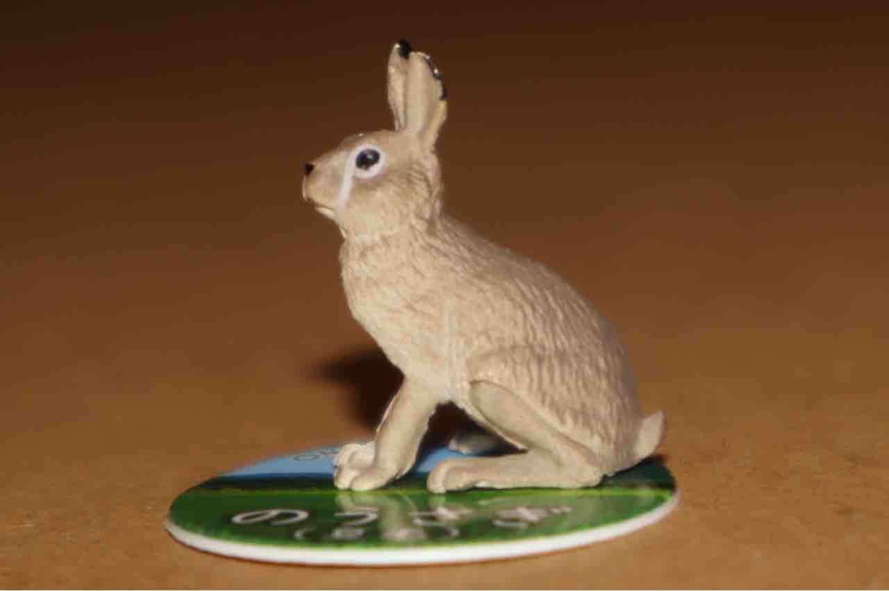 レビュー 里山のいきもの ぱーぷるのブログ Everything