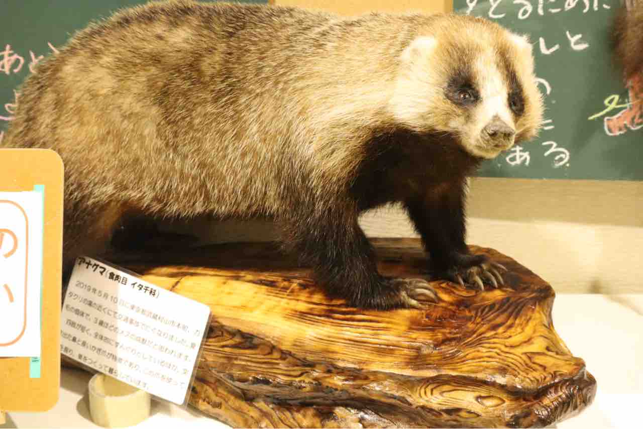 渋滞を超えた先にある秘境 ぱーぷるの日々自由研究