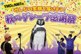 グレープ君の生涯まとめ その後 残してくれたもの ぱーぷるのブログ Everything