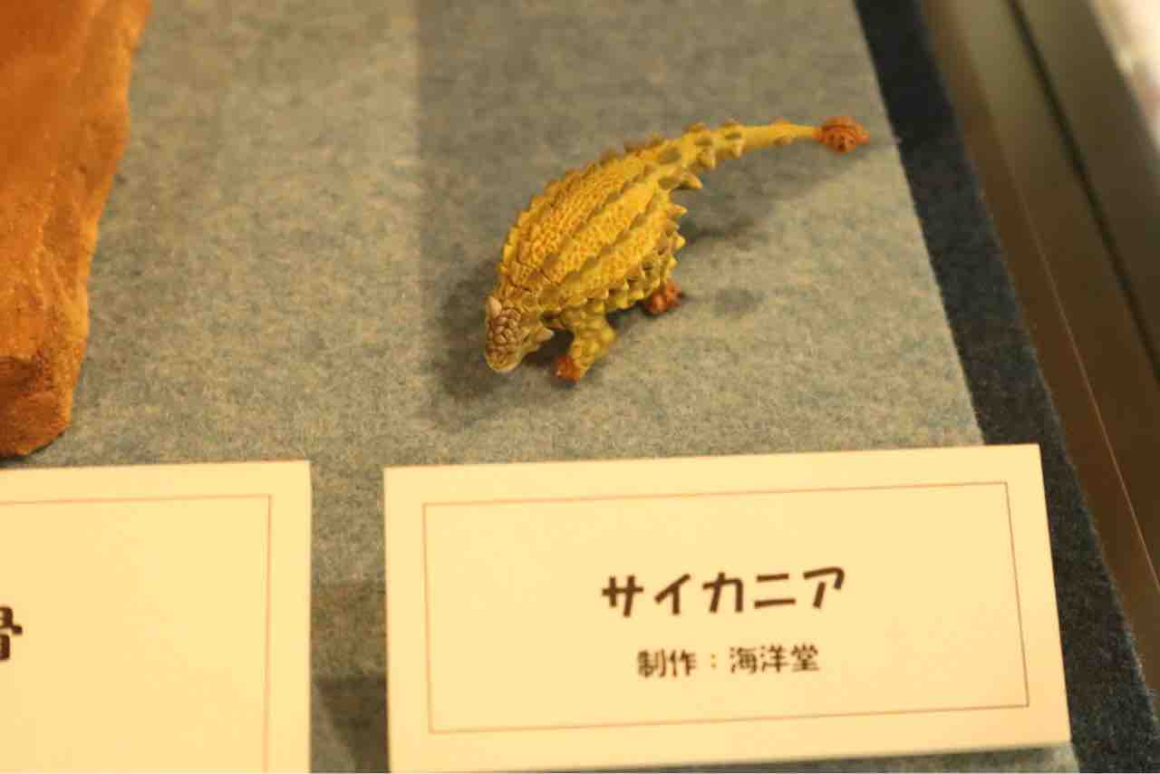 モンゴルの恐竜達 ぱーぷるのブログ Everything