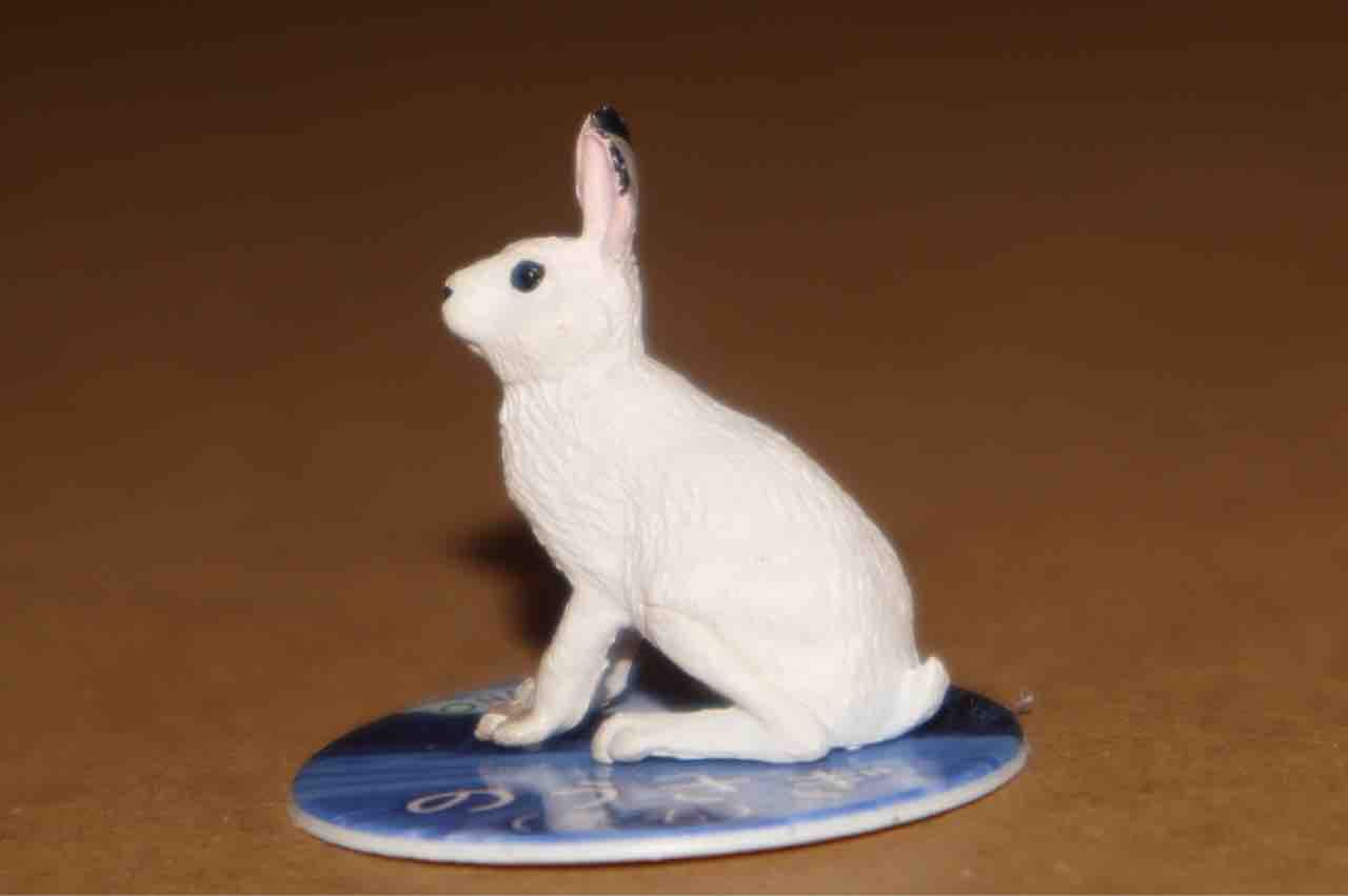 レビュー 里山のいきもの ぱーぷるのブログ Everything