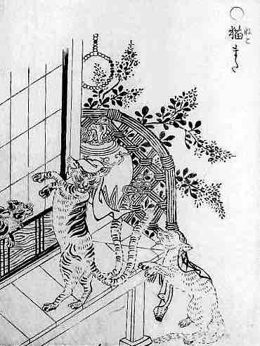 鳥山石燕と日本の動物 まとめ : 百獣夜行見聞録