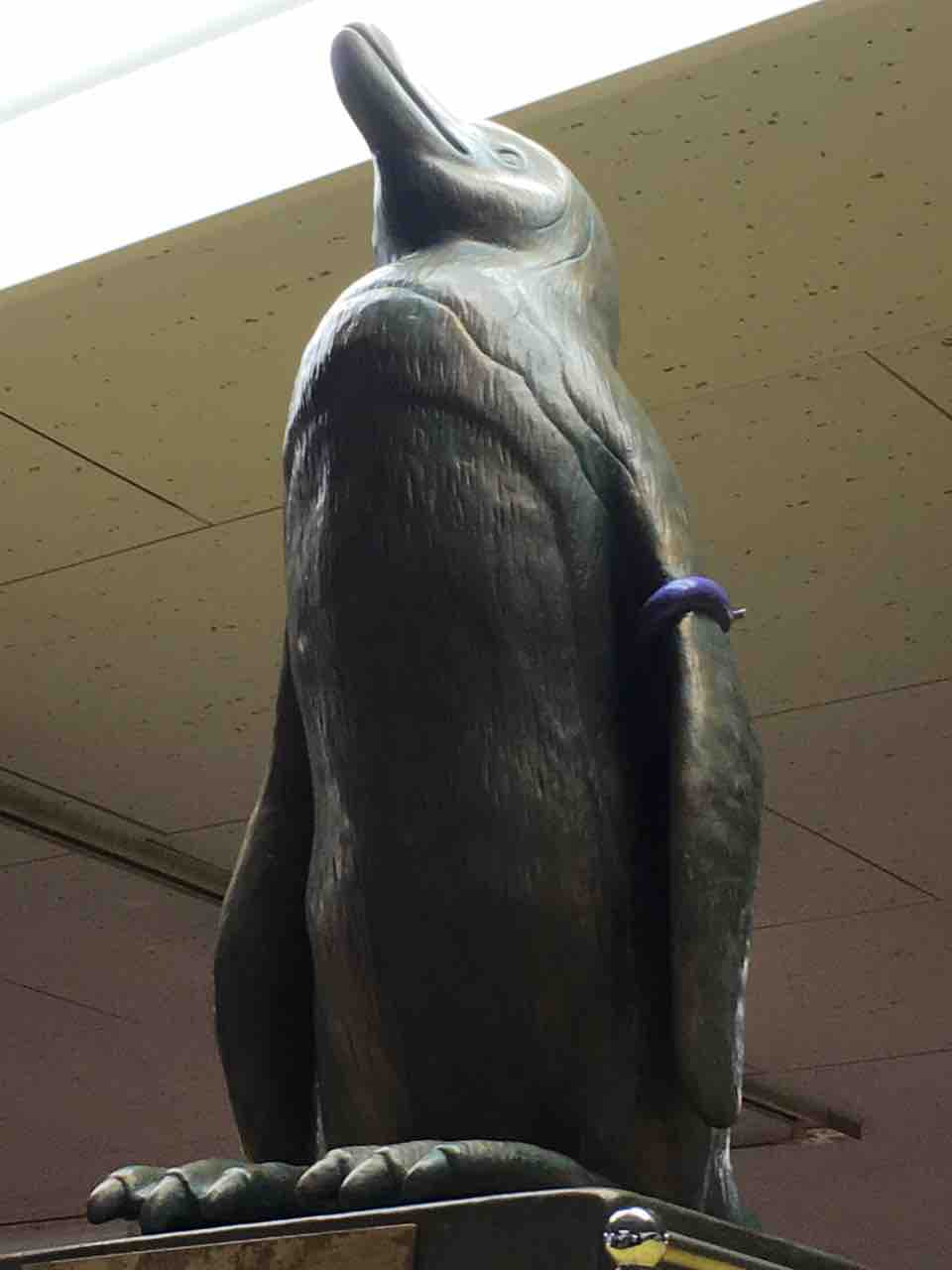 グレープ君の生涯まとめ その後 残してくれたもの ぱーぷるのブログ Everything