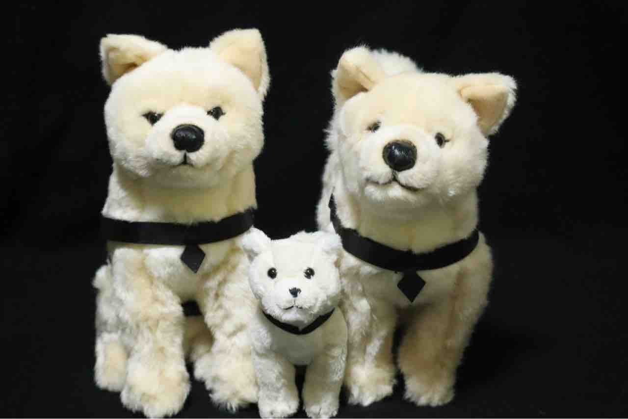 レビュー】国立科学博物館オリジナル 秋田犬ハチ : 百獣夜行見聞録