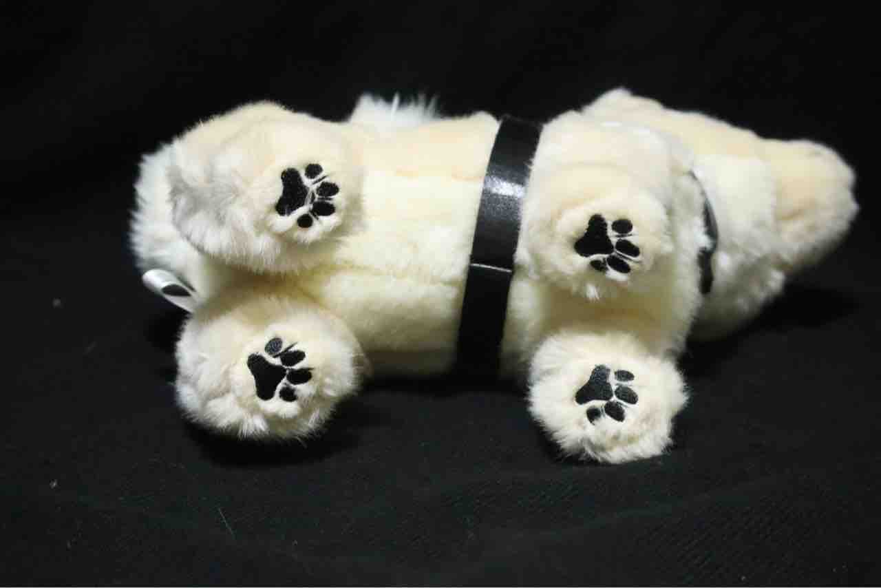 レビュー】国立科学博物館オリジナル 秋田犬ハチ : 百獣夜行見聞録
