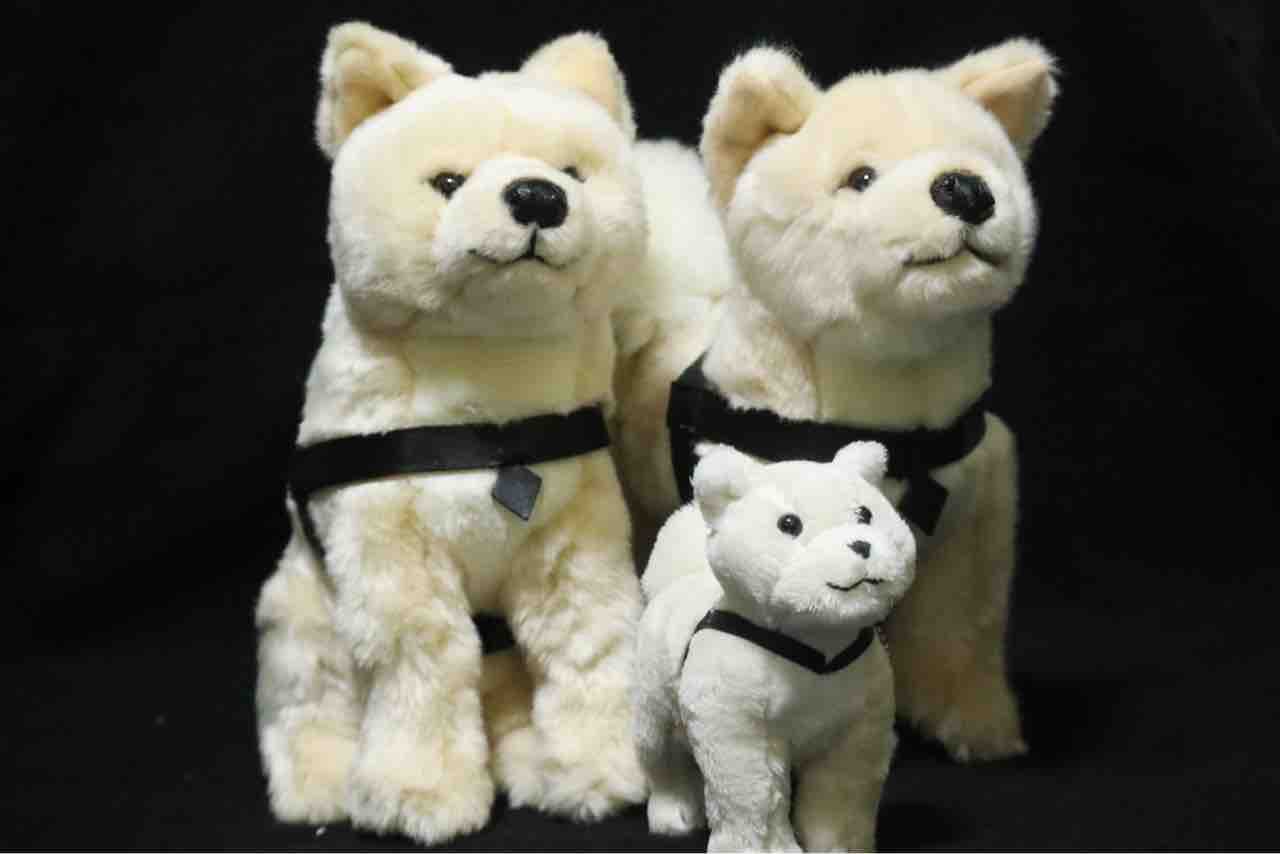 レビュー】国立科学博物館オリジナル 秋田犬ハチ : 百獣夜行見聞録