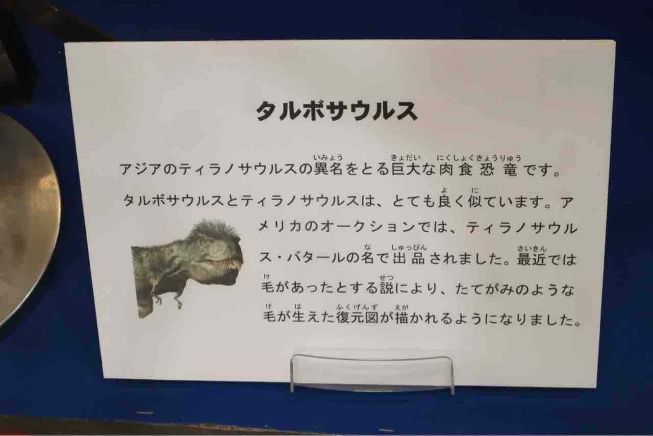 モンゴルの恐竜達 ぱーぷるのブログ Everything