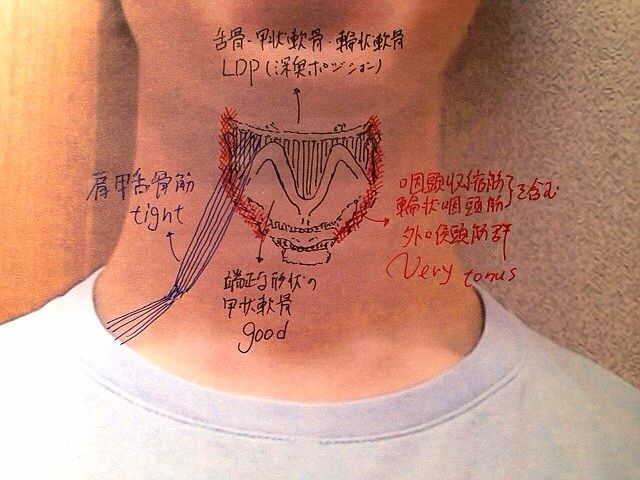 ボイスケア 瑠風記 ボイスケア 瑠風記