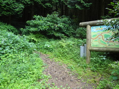 DSC08271