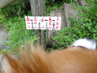 DSC06368