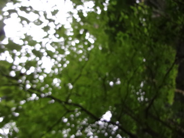 DSC06372