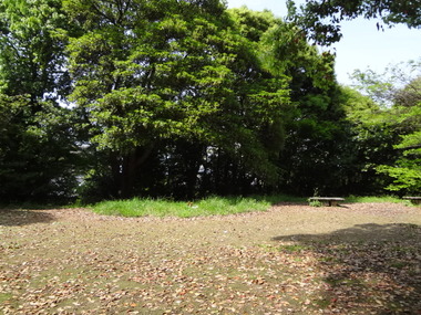 DSC05421