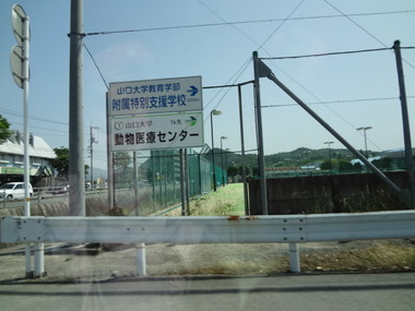 DSC05755