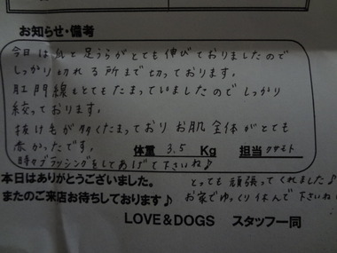 DSC07118