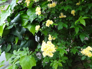 DSC05508