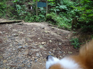 DSC08148