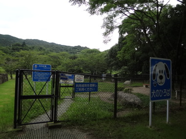 DSC08259