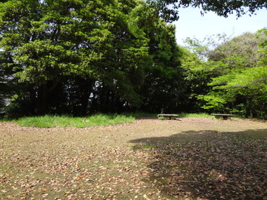 DSC05418