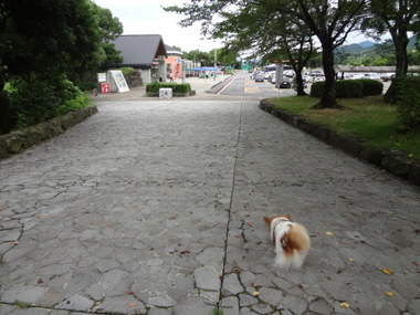 DSC08261