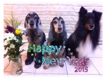20150101_deco