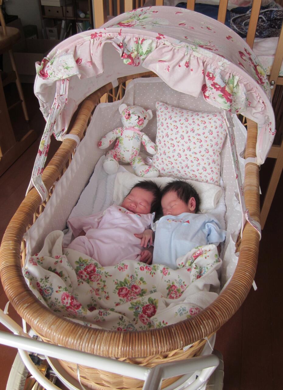 東京乳母車 プスプス 双子 （二人乗り・室内使いOK！ 東京乳母車  