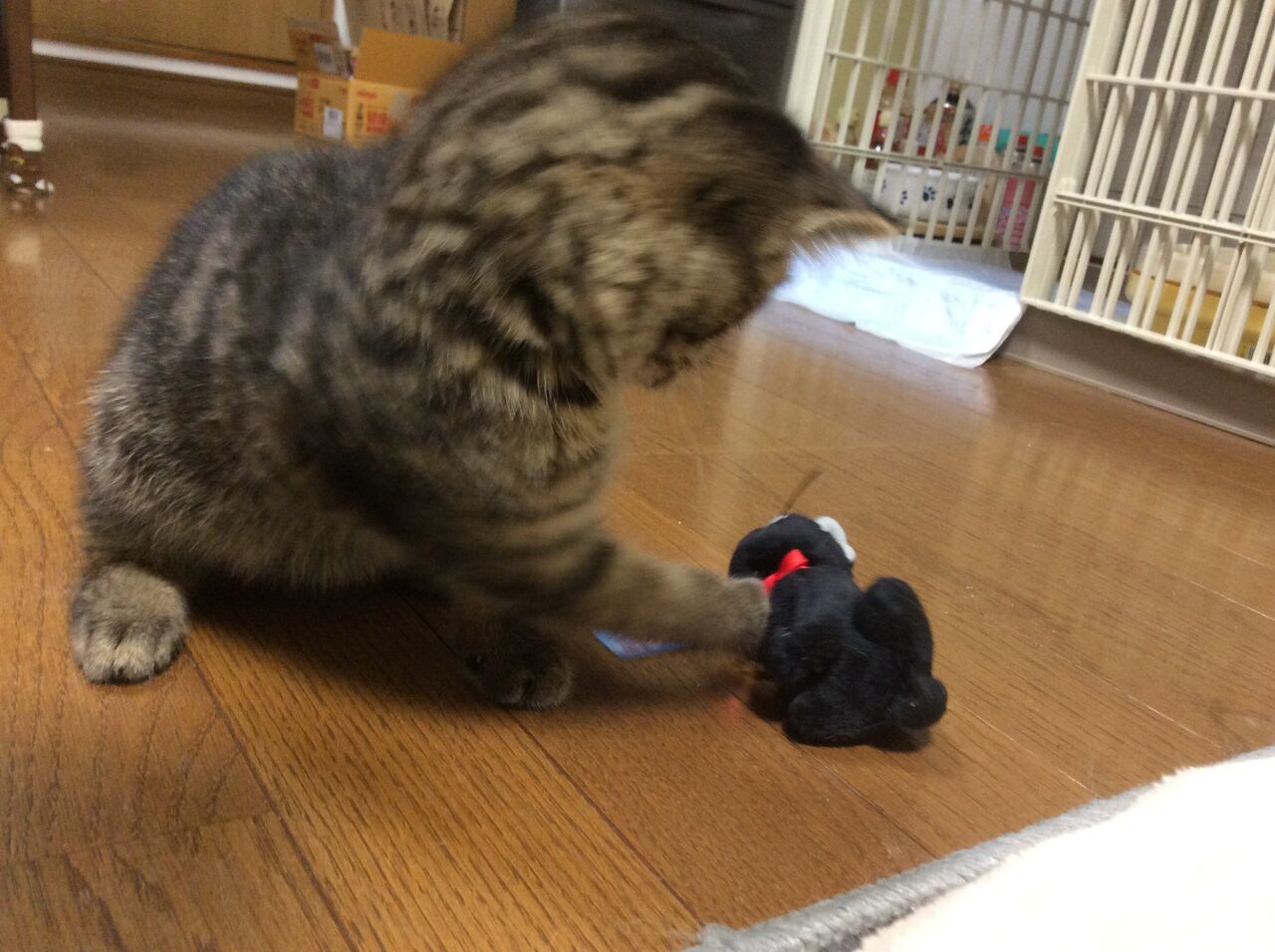 イメージ 3