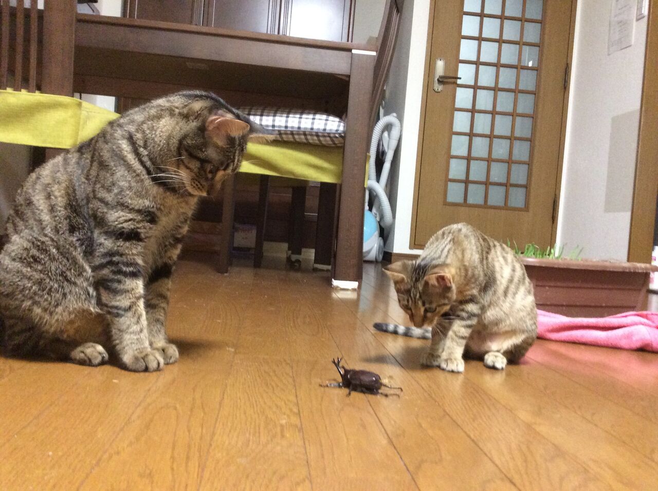 イメージ 1