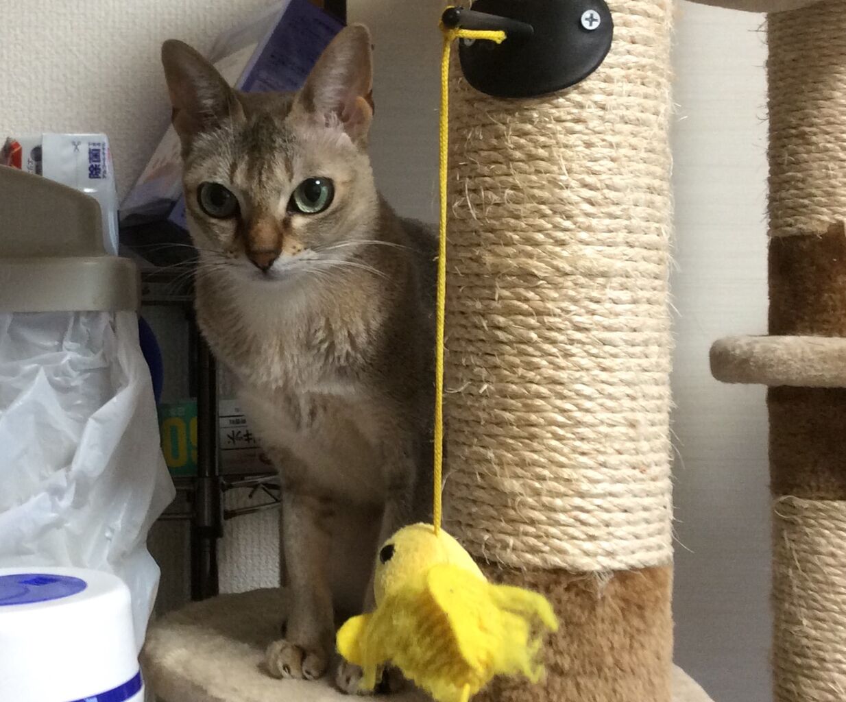 イメージ 6
