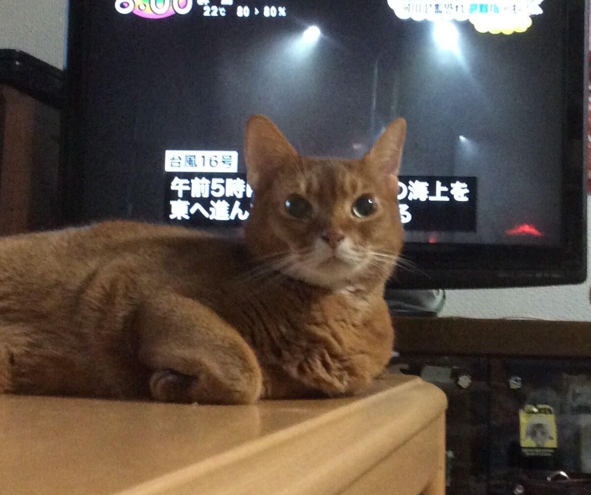 イメージ 1
