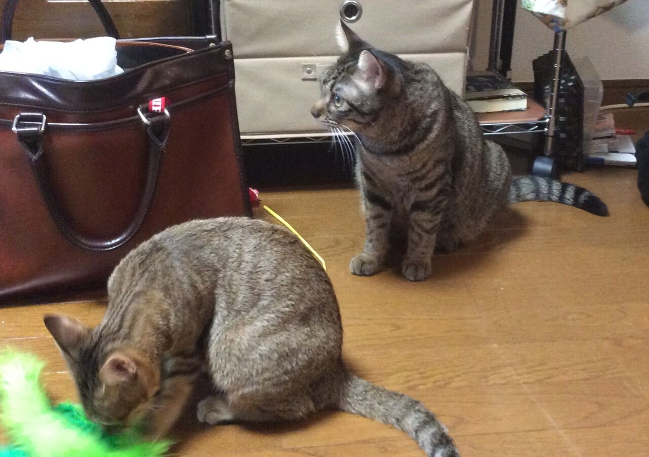 イメージ 9