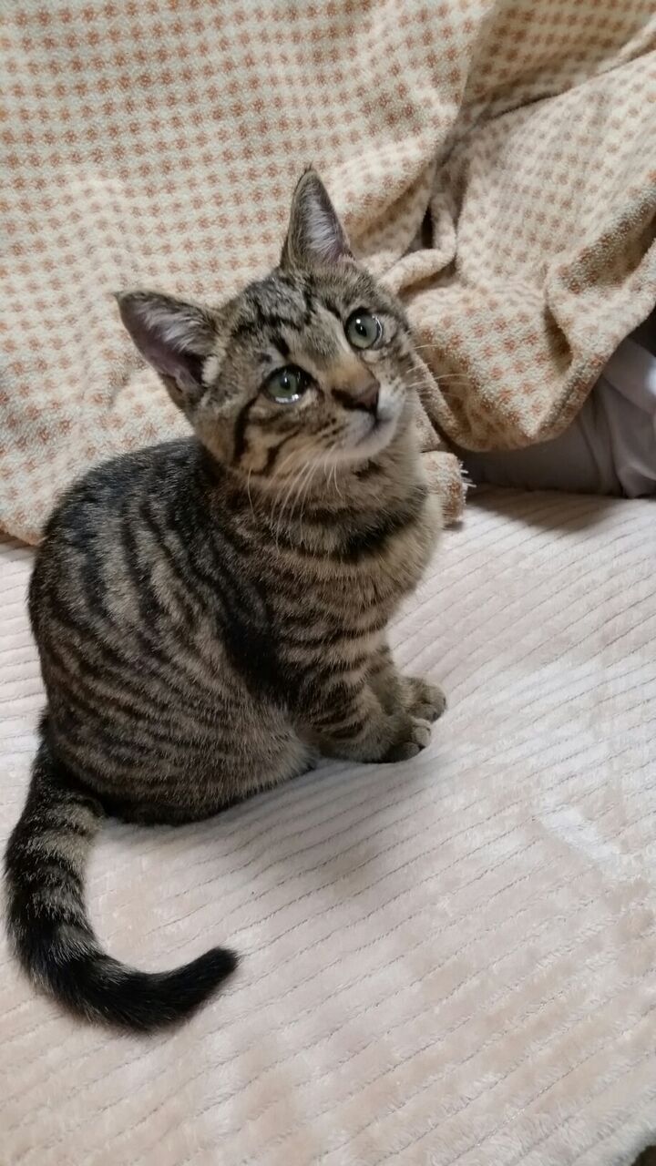 イメージ 8