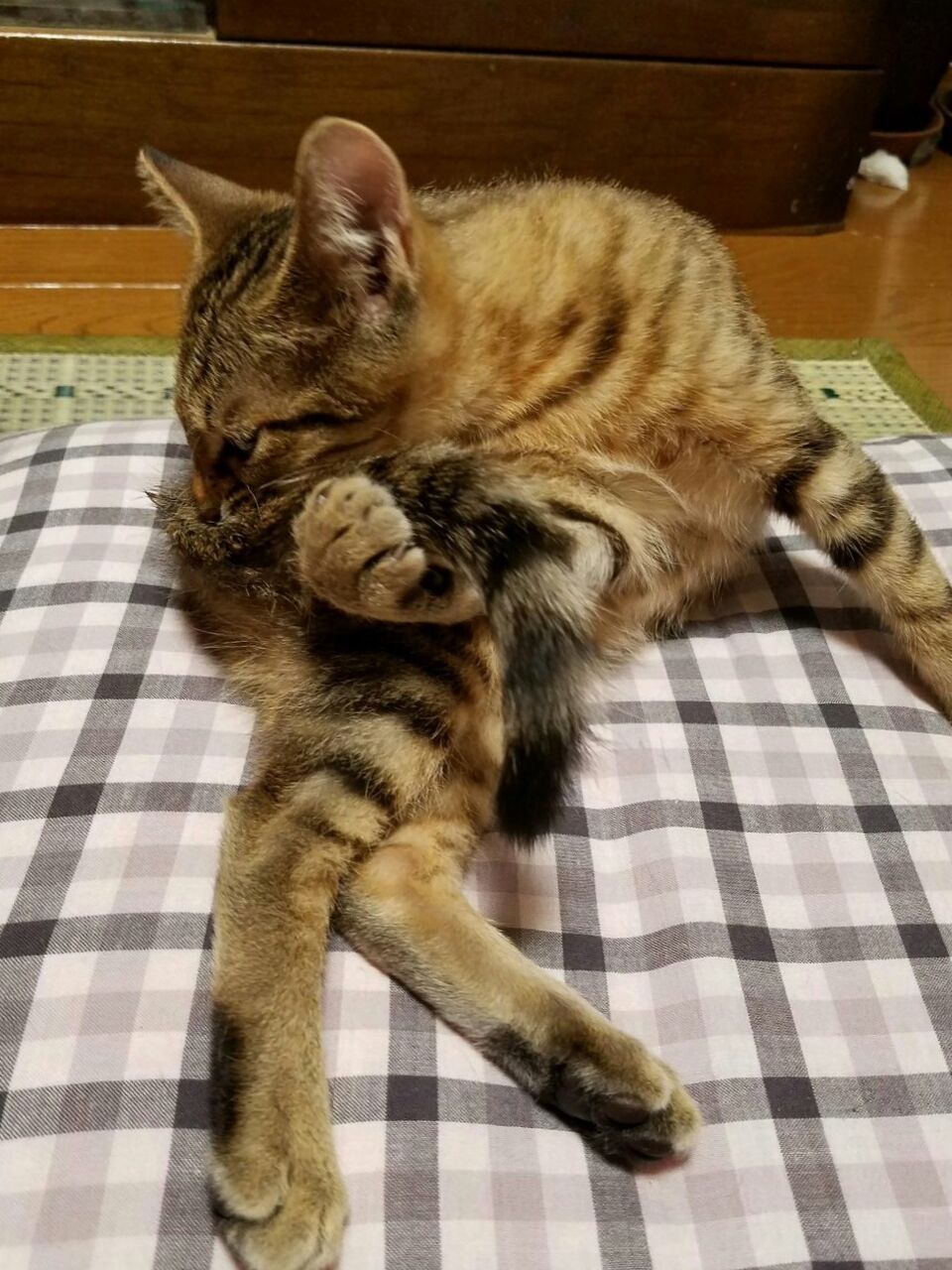 イメージ 4