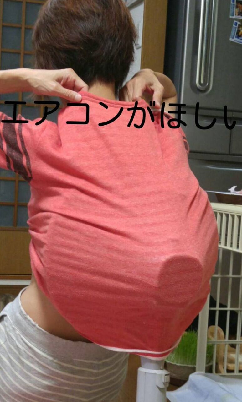イメージ 6