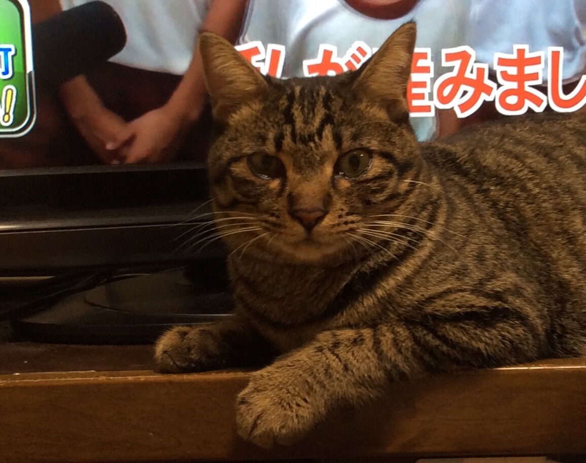 イメージ 3
