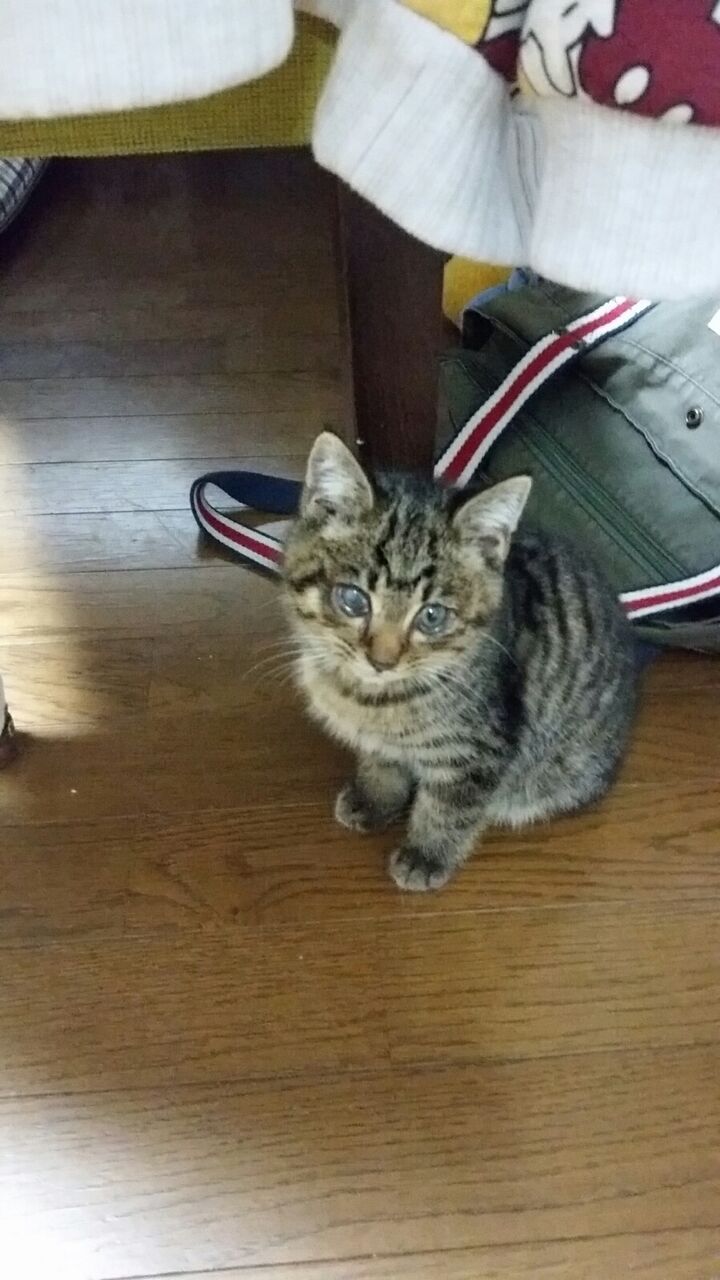 イメージ 9