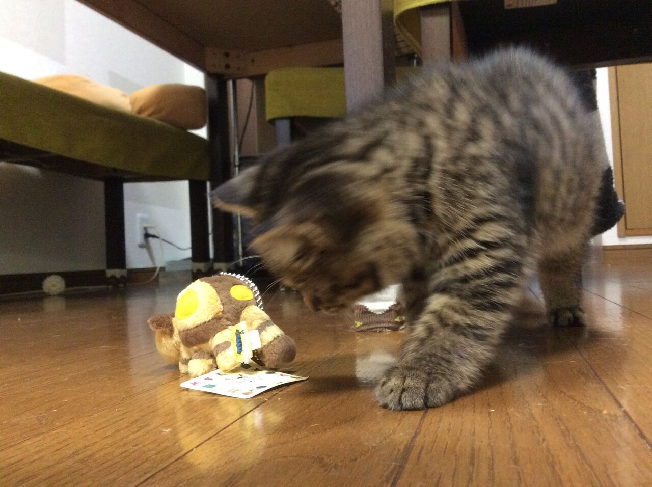 イメージ 6