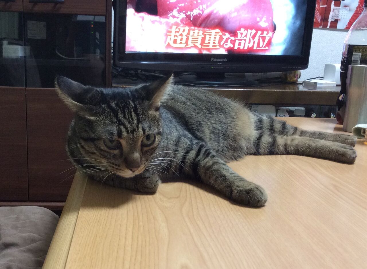 イメージ 10
